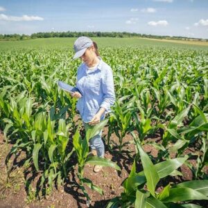 Técnico em Agricultura por Competência